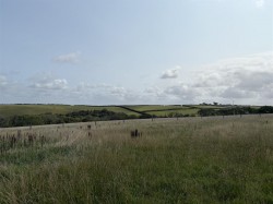 Images for Crackington Haven, Bude
