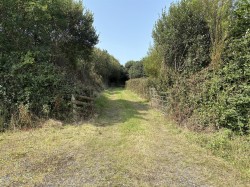 Images for Crackington Haven, Bude