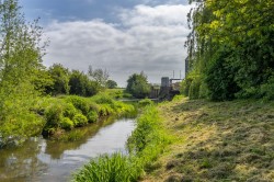 Images for Thorney, Langport