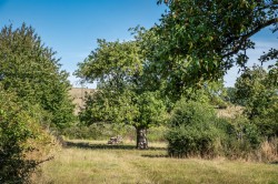 Images for Amouracre Farm, Wiltshire