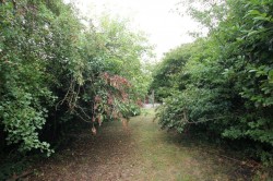 Images for Main Street, Witchford, Ely