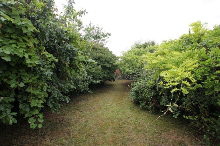 Images for Main Street, Witchford, Ely