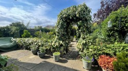 Images for Longfields, Ely