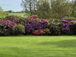 Images for Lovacott, Newton Tracey, Barnstaple