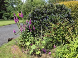 Images for Lovacott, Newton Tracey, Barnstaple