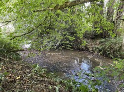 Images for Shillingford, Tiverton