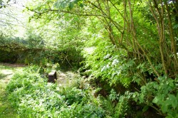 Images for Heath Common, Axminster