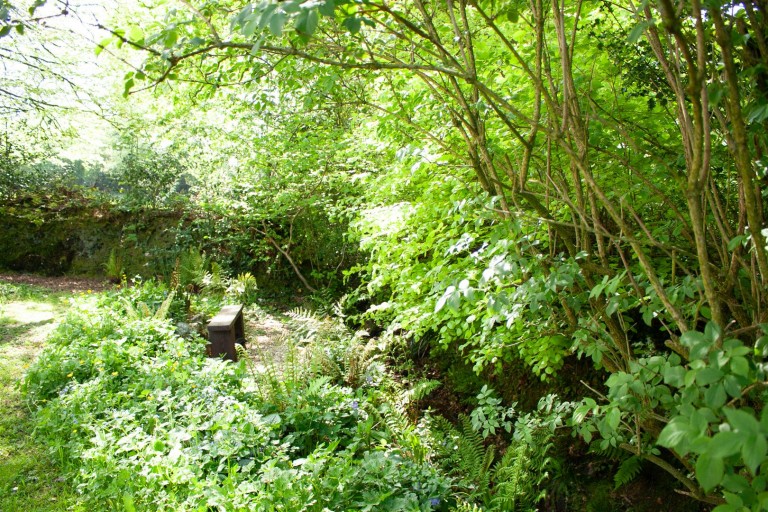 Images for Heath Common, Axminster