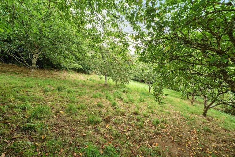 Images for Shebbear, Beaworthy