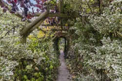 Images for Sampford Road, Radwinter, Saffron Walden