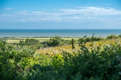Images for Brighstone, Isle of Wight