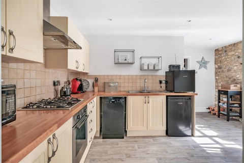 Click the photo for more details of Chardstock