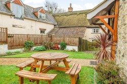 Images for Chardstock