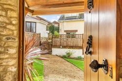 Images for Chardstock