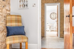 Images for Chardstock