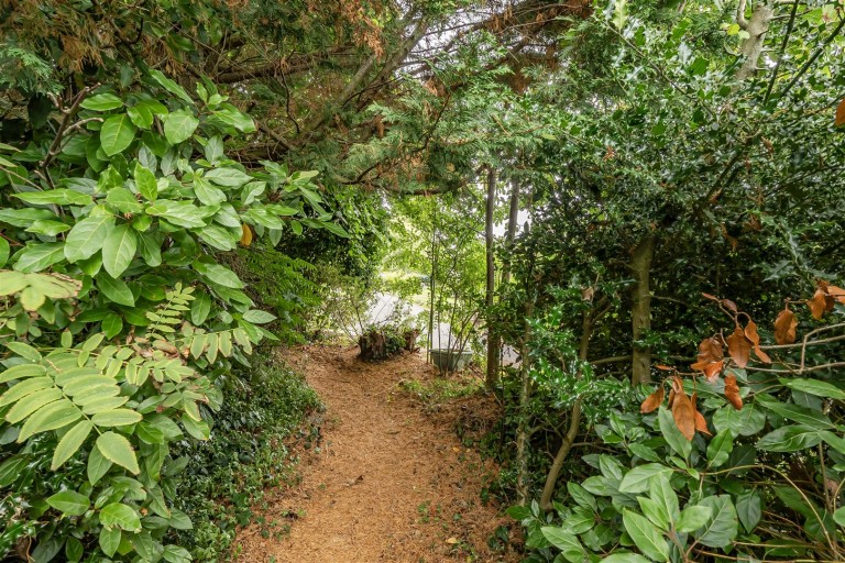 Images for Back Lane, Chardstock, Axminster