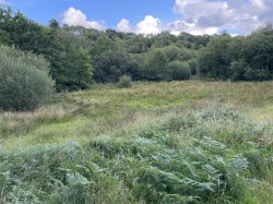 Images for Churchstanton, Taunton
