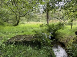 Images for Churchstanton, Taunton