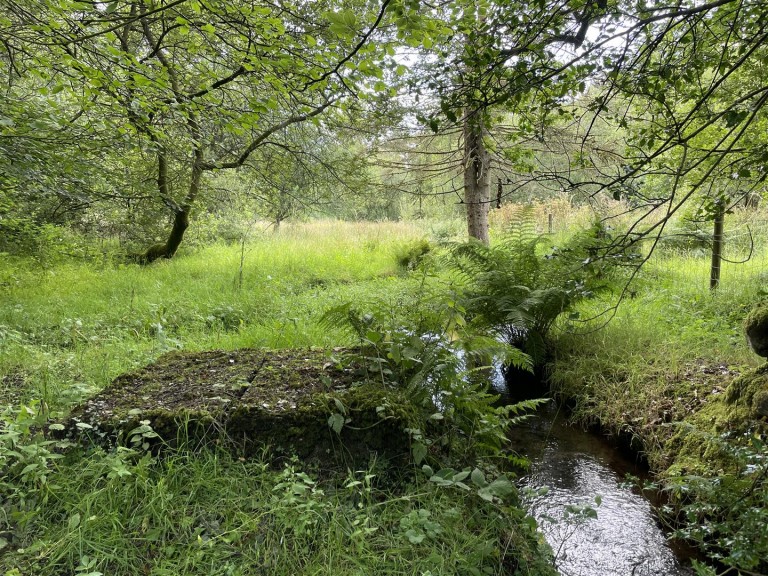 Images for Churchstanton, Taunton
