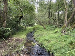 Images for Churchstanton, Taunton