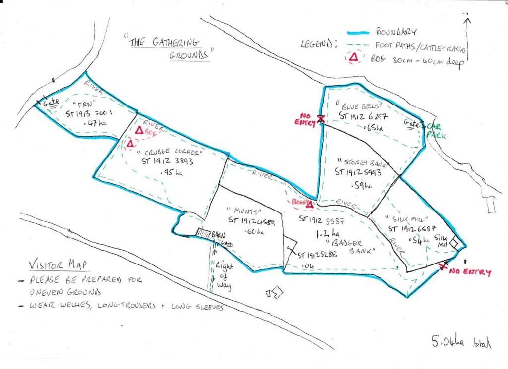 Floorplans For Churchstanton, Taunton