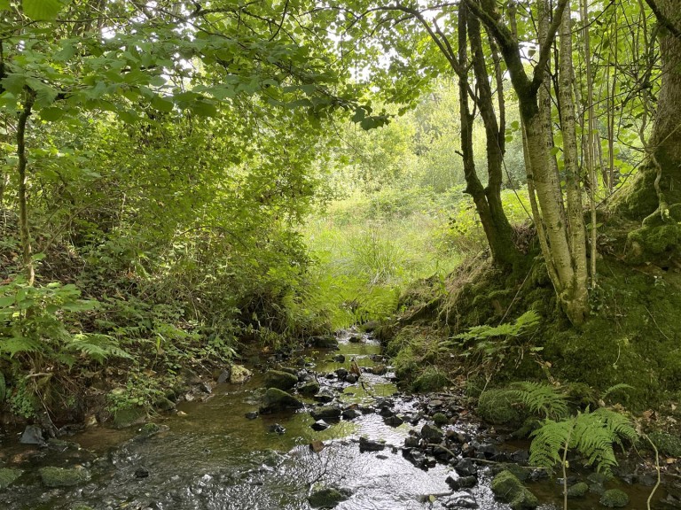 Images for Churchstanton, Taunton