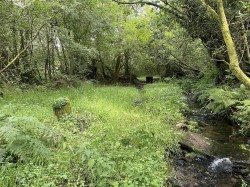 Images for Churchstanton, Taunton