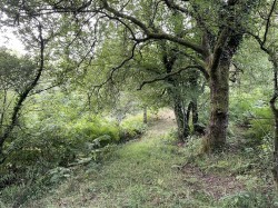 Images for Churchstanton, Taunton
