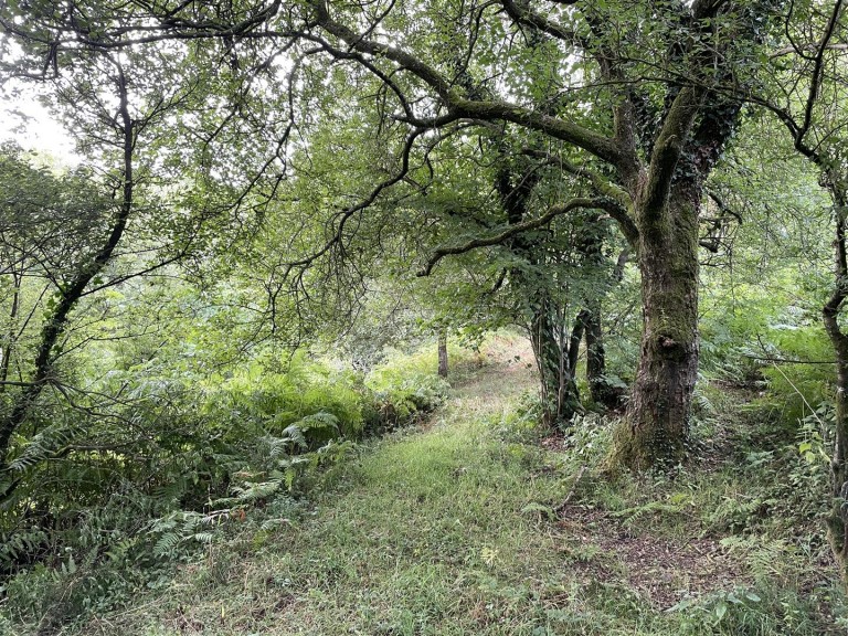 Images for Churchstanton, Taunton