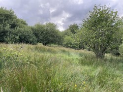 Images for Churchstanton, Taunton