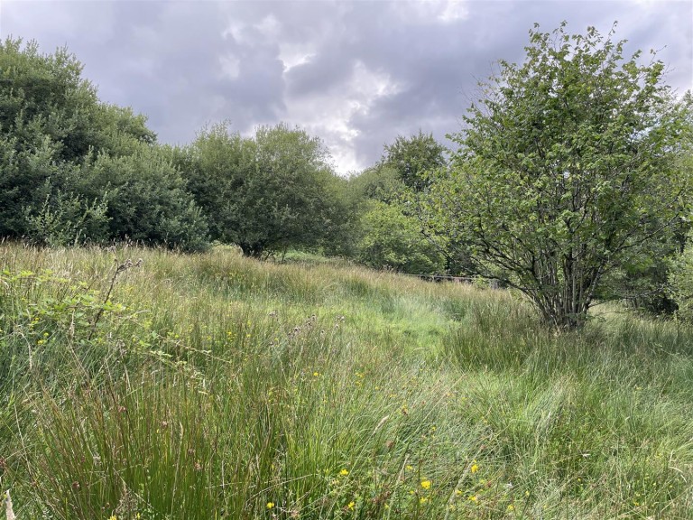 Images for Churchstanton, Taunton