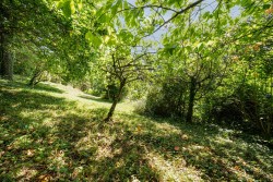 Images for Home Lane, Lee, Ilfracombe