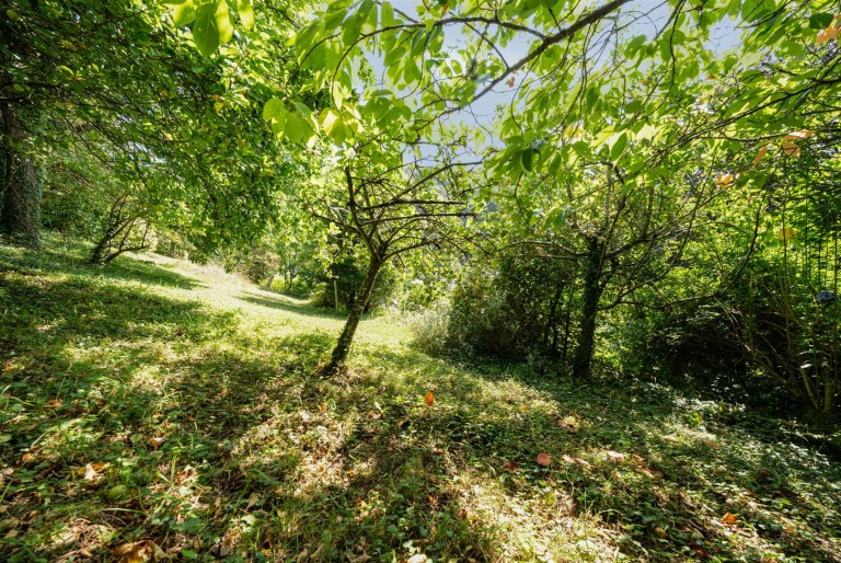 Images for Home Lane, Lee, Ilfracombe