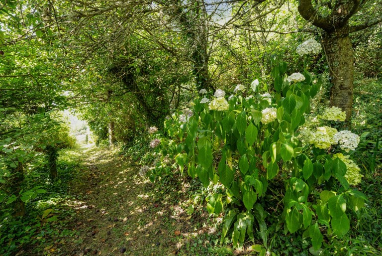 Images for Home Lane, Lee, Ilfracombe