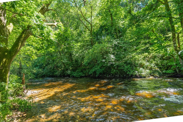 Images for Hown, Loddiswell, Kingsbridge