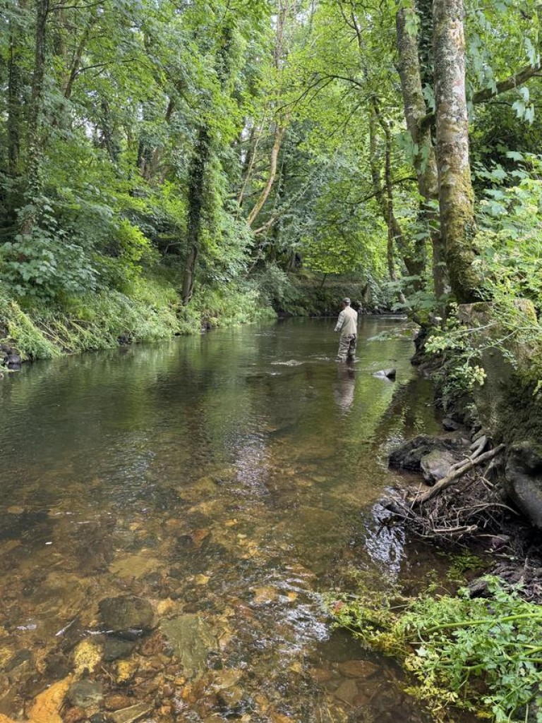 Images for Hown, Loddiswell, Kingsbridge