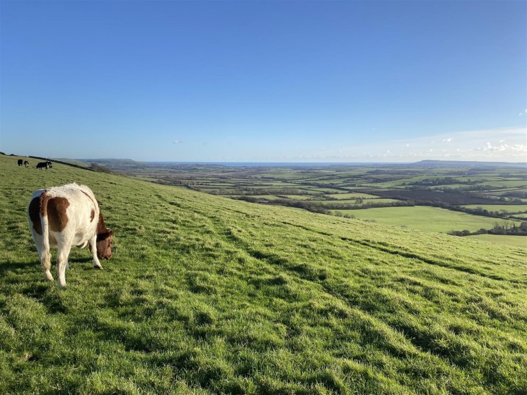 Images for Land at Winters Lane, Waddon, Portesham