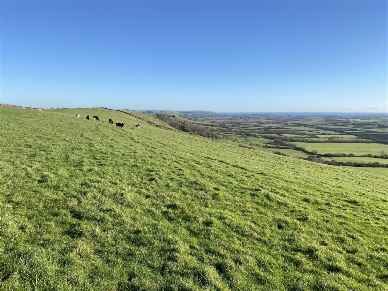 Images for Land at Winters Lane, Waddon, Portesham