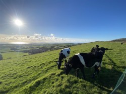 Images for Land at Winters Lane, Waddon, Portesham