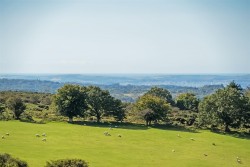 Images for Dousland