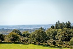 Images for Dousland