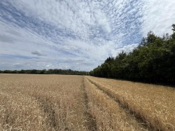 Images for Barnsley, Gloucestershire