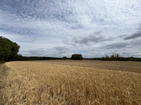 Click the photo for more details of Barnsley, Gloucestershire