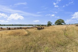 Images for Kerswell, Cullompton