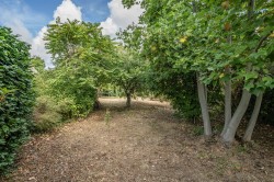 Images for Mill Lane, Chideock, Bridport