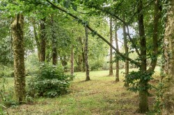 Images for Iddesleigh, Winkleigh