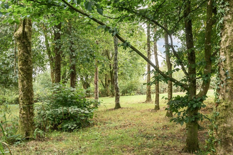 Images for Iddesleigh, Winkleigh