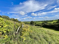 Images for Swimbridge, Barnstaple
