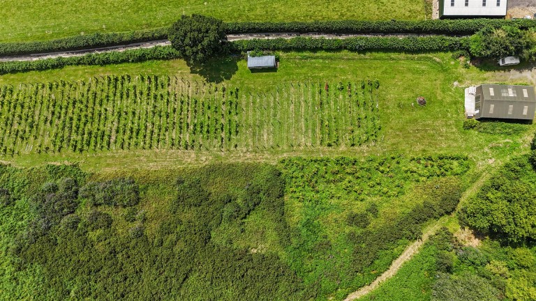 Images for Swimbridge, Barnstaple