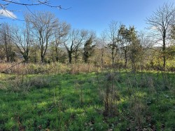 Images for Lake, Tawstock, Barnstaple